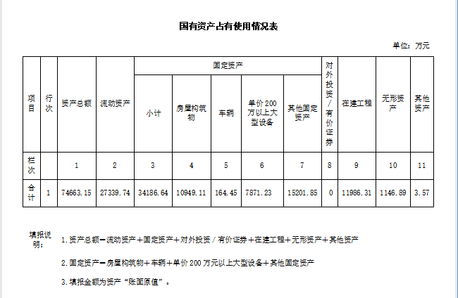 国有资产表截图.png