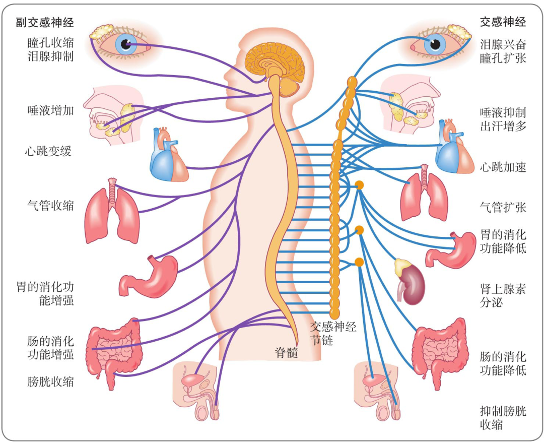 微信图片_20250523103754.png